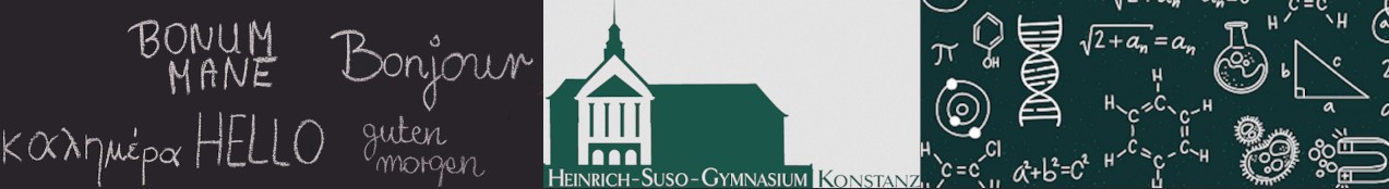 Übersicht über das sprachliche und naturwissenschaftliche Angebot