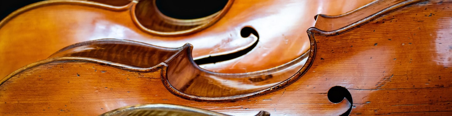 Bild von Ri Butov auf Pixabay